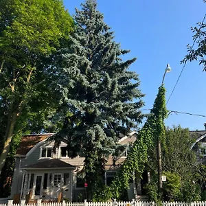 https://cabbagetown-retreat.niagara-fallshotels.com