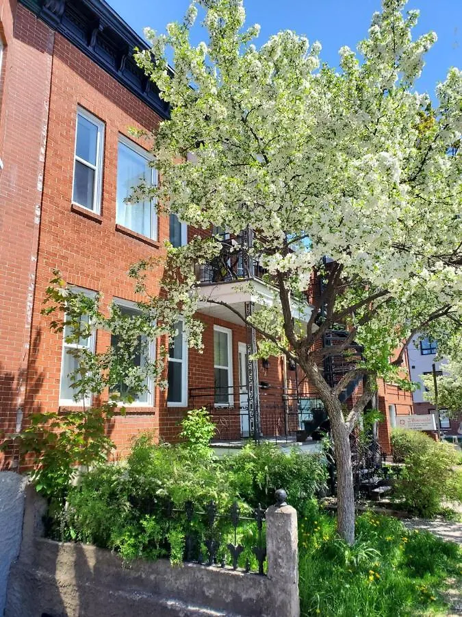 Les 300S 3E Avenue Apartment Quebec City Canada
